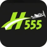 https://pk6game.com.pk/h555-game