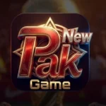 paknew-game